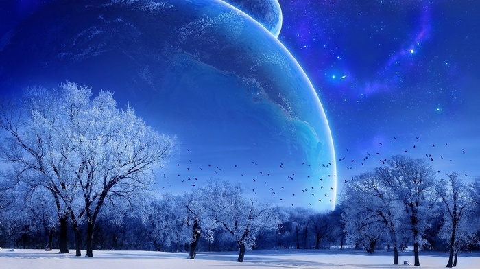 birds, moon, sky, space, winter