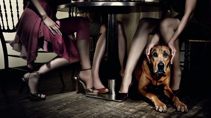 creative, girls, table, dog, legs