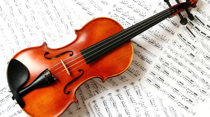 music, violin