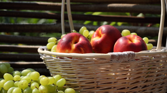 grapes, apples, colorful, nature, basket, delicious