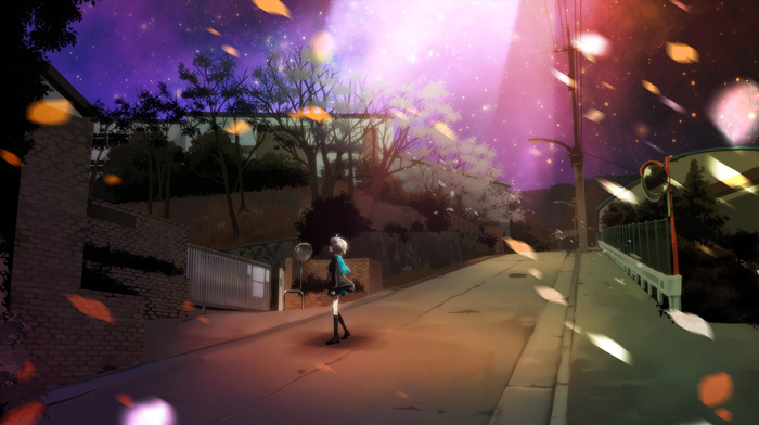 road, night, anime, street, sky, stars, leaves