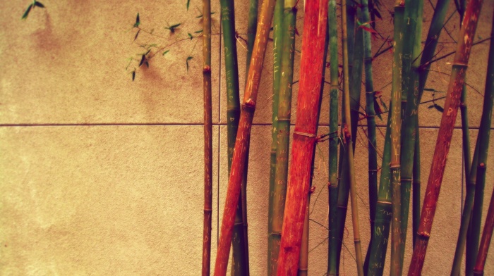 colorful, bamboo