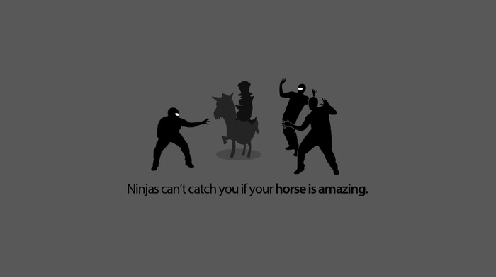 ninjas