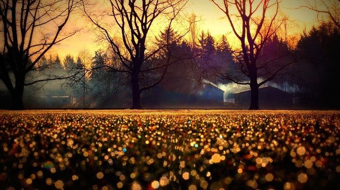 macro, smoke, autumn, houses