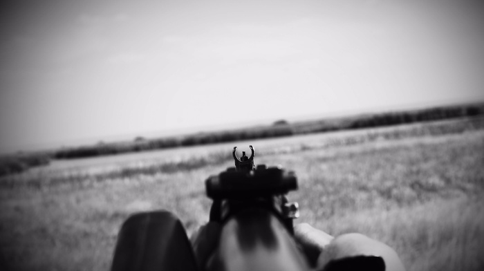 gun