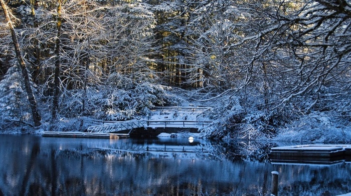 nature, lake, bridge, winter