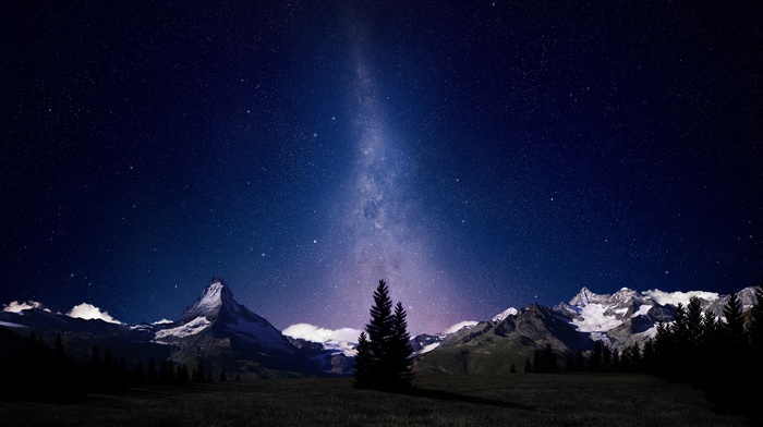 trees, starry night, mountain, stars, sky