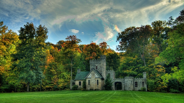 nature, grass, castle