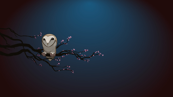 branch, owl, night, minimalism