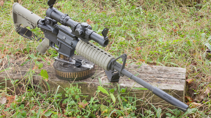 gun