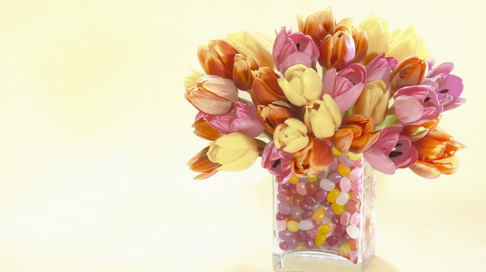 tulips, vase, flowers