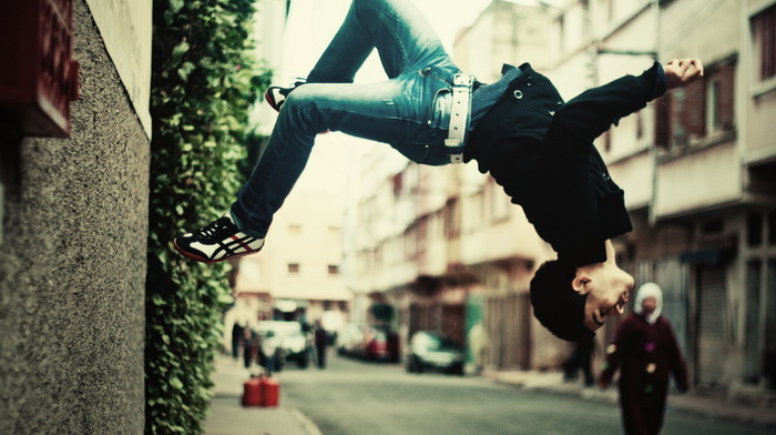 shrubs, wall, creative, jeans, city, boy