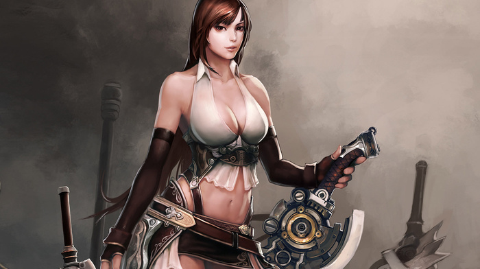 sword, video games, boobs, warrior