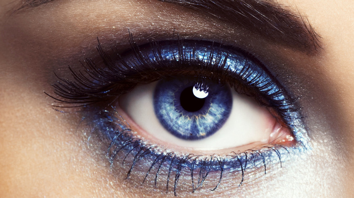blue, macro, sight