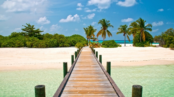 palm trees, nature, island, bridge, sky, beach