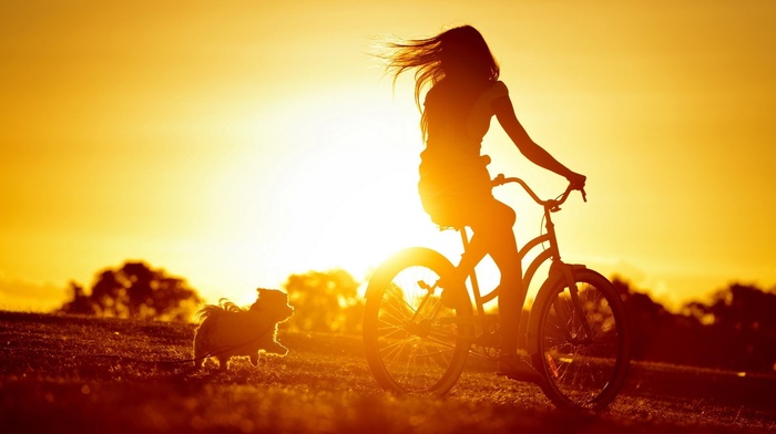 sunset, bicycle, girl, dog, silhouette, sunlight