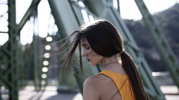 brunette, ponytail, dress