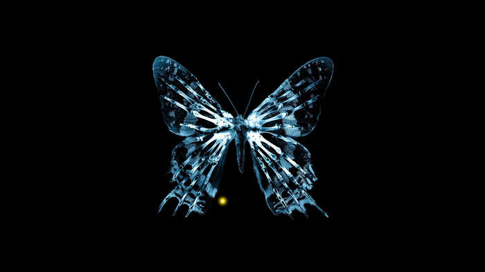 butterfly, movies