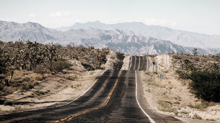 Arizona, landscape, road, mountain, desert