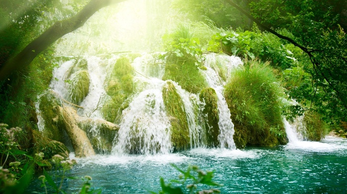 trees, nature, waterfall, rays