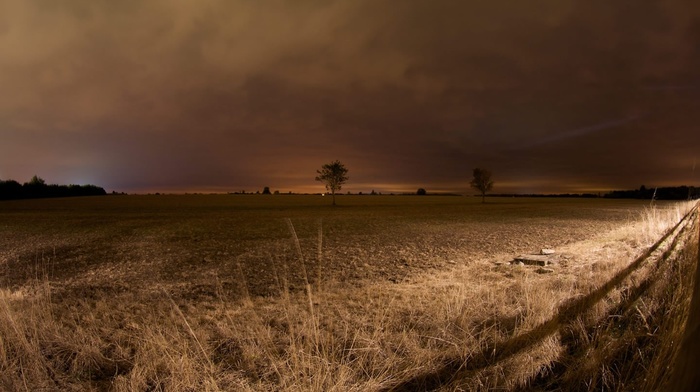 field, nature