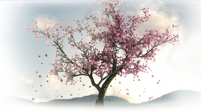 nature, tree, spring, flowers, sakura