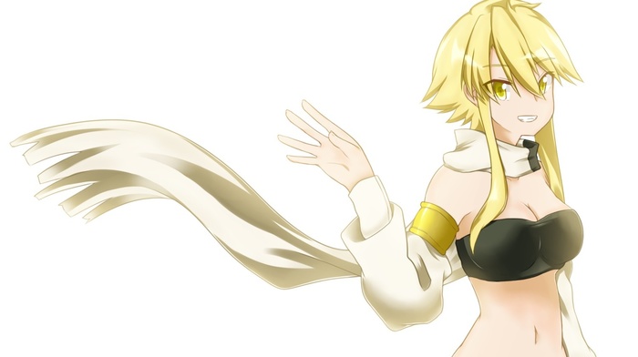 anime, Akame ga Kill, Leone, anime girls