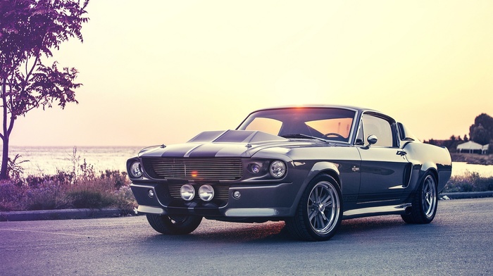 Ford Mustang, shelby, Ford Mustang Shelby, old car, shelby gt, car, muscle cars