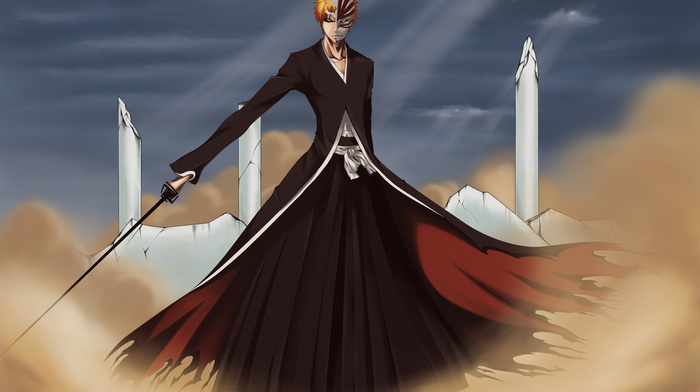 Bleach, anime