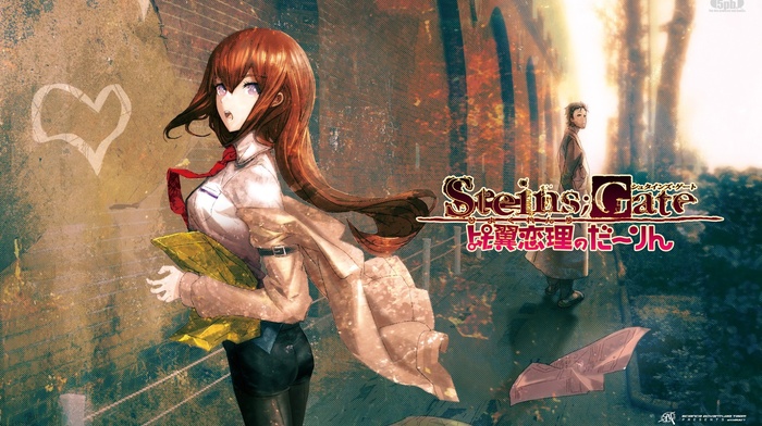 steinsgate
