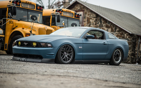 Shelby, car, muscle cars, Shelby GT
