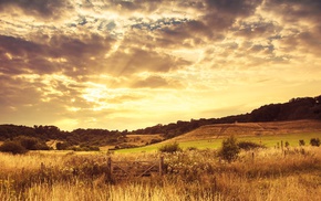 sun rays, field, landscape