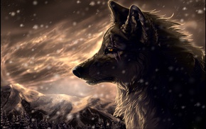 wolf, anime