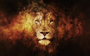 lion, texture, animals