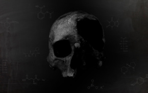 skull, dark, death, chemistry