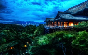 forest, night, blue, trees, Asia, HDR