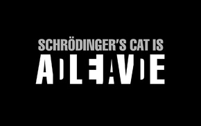 black background, simple, science, Schrodinger Cat