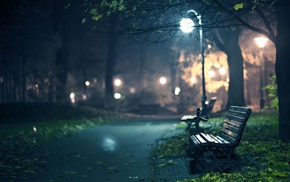 bench, nature