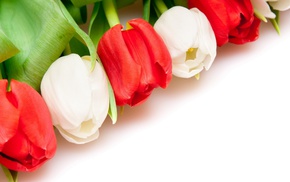 white, red, flowers