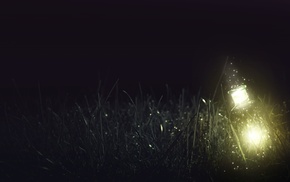 night, lights, grass