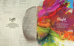 brains, abstract, artwork, science, anatomy