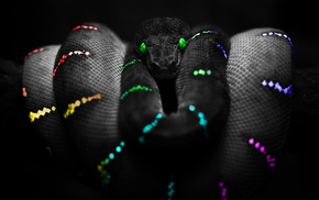 3D, black background