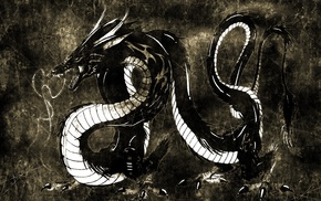 black, white, dragon