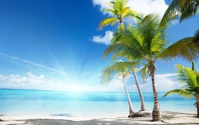 summer, sea, clouds, palm trees