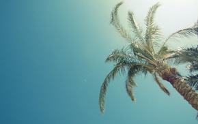 Sun, summer, sky