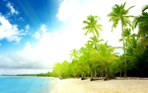 beach, summer, sea, Sun, greenery