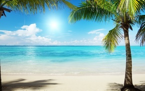 water, Sun, summer, sand, palm trees