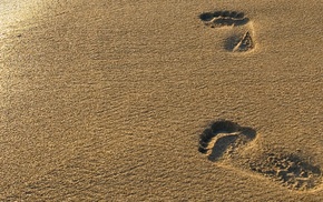 light, sand, summer