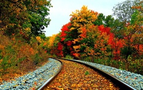 fall, railway