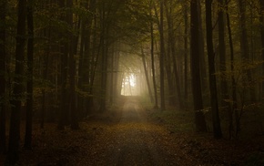 landscape, nature